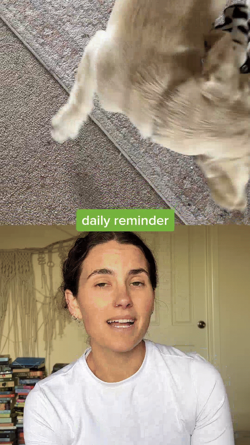 GIF Image